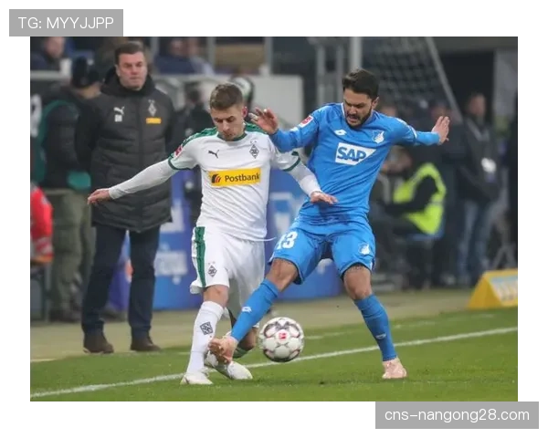 特写：霍芬海姆老将福格特完成个人第300场德甲联赛